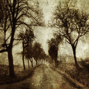 In this World image x