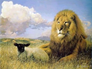 Lamb and lion