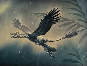 Four-Winged Dinosaur2