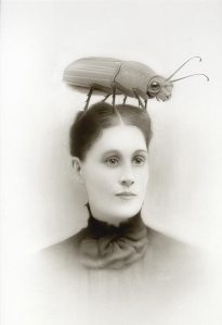 Our Insect Friends 2