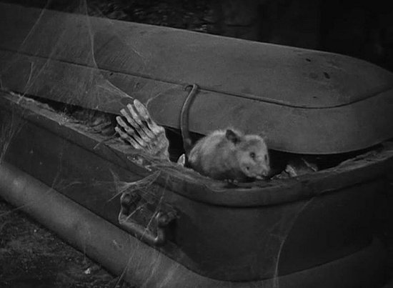 One of the delightful features of Dracula's castle. 