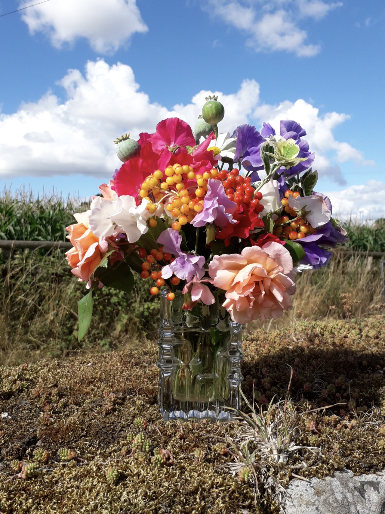 Summers lease hath all too short a date. ~ Shakeseare