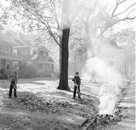Raking Leaves and Burning Them at the Curb
