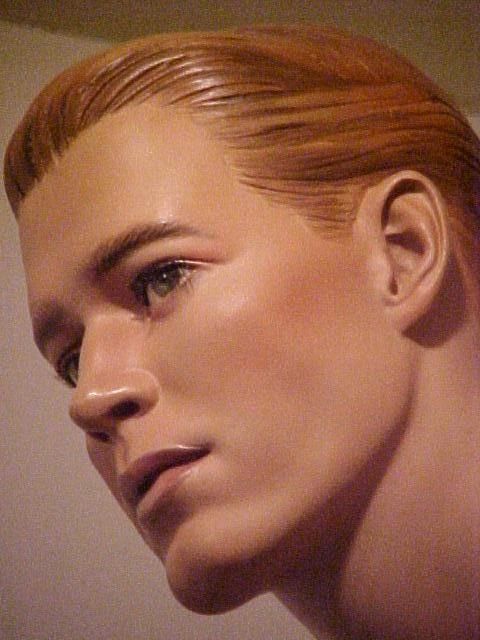 In the Shape of a Man image