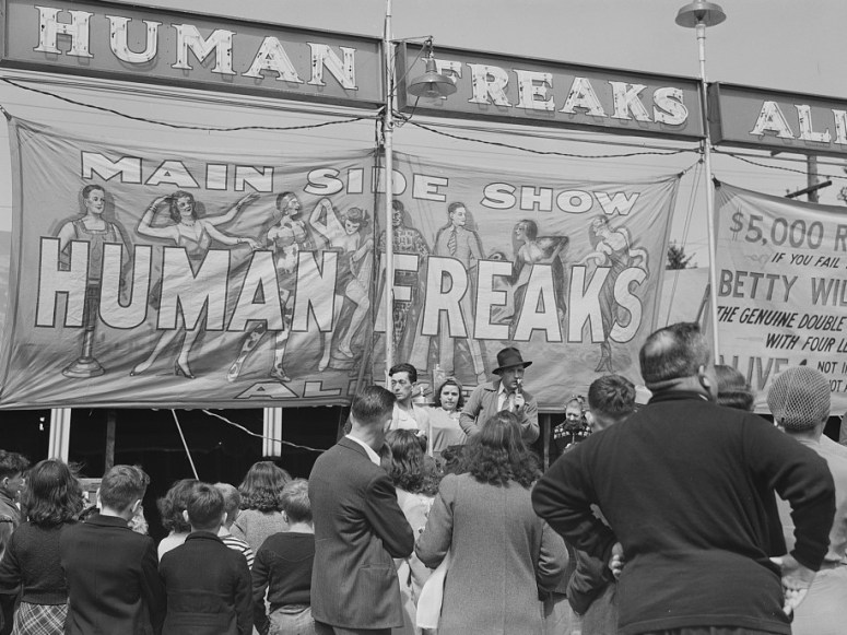 The Human Oddity image 1