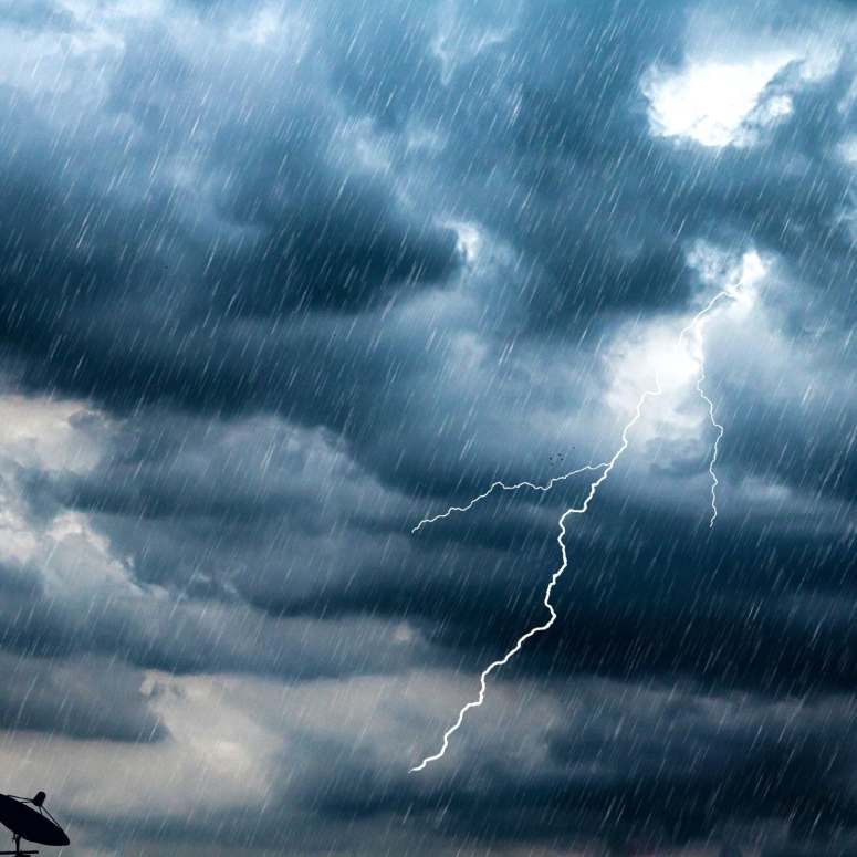 The Day Belongs to the Rain image 6