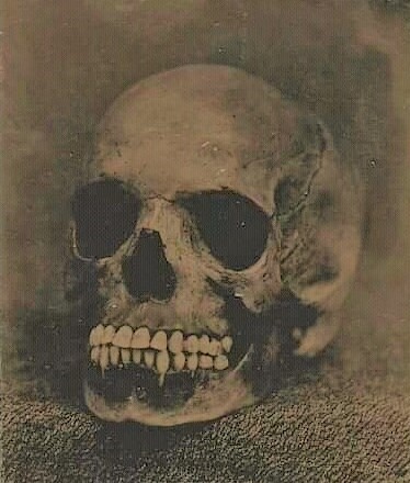 Little More Than Bones image x