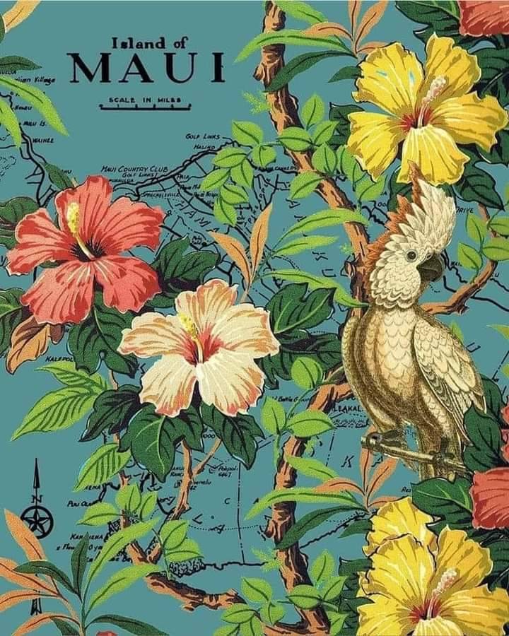 Maui