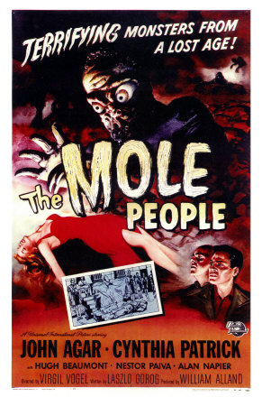 My Next-Door Neighbors