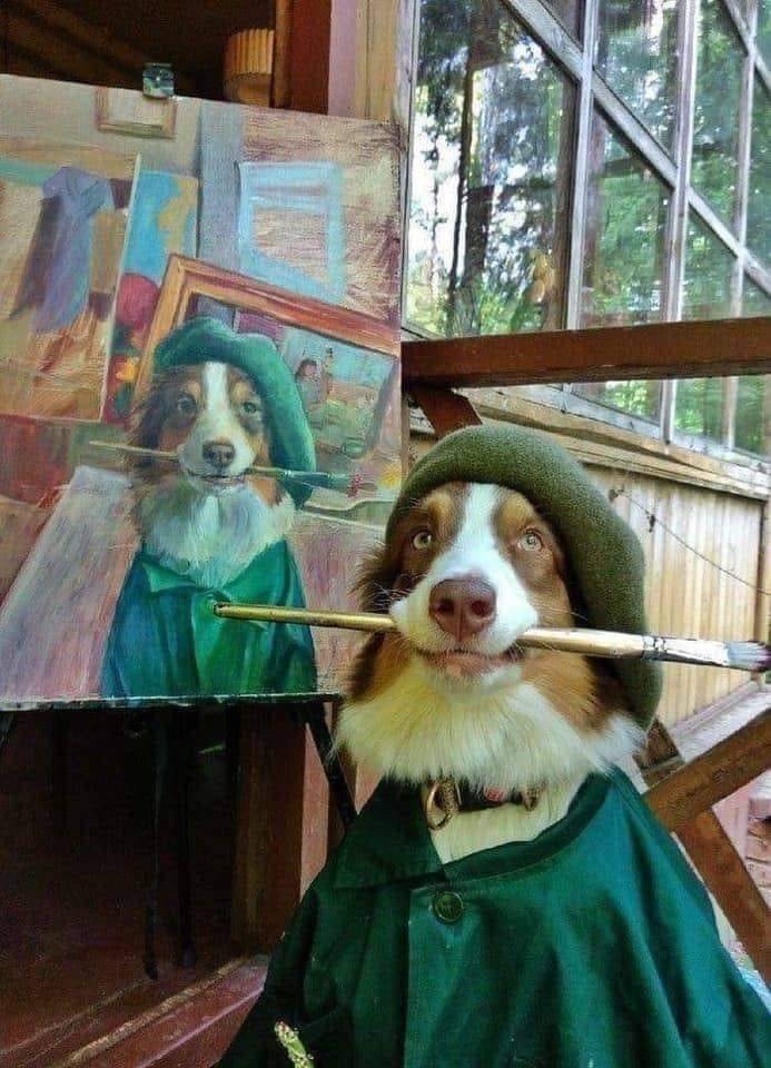 Vincent Van Dog