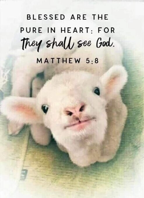 Blessed are the Pure in Heart