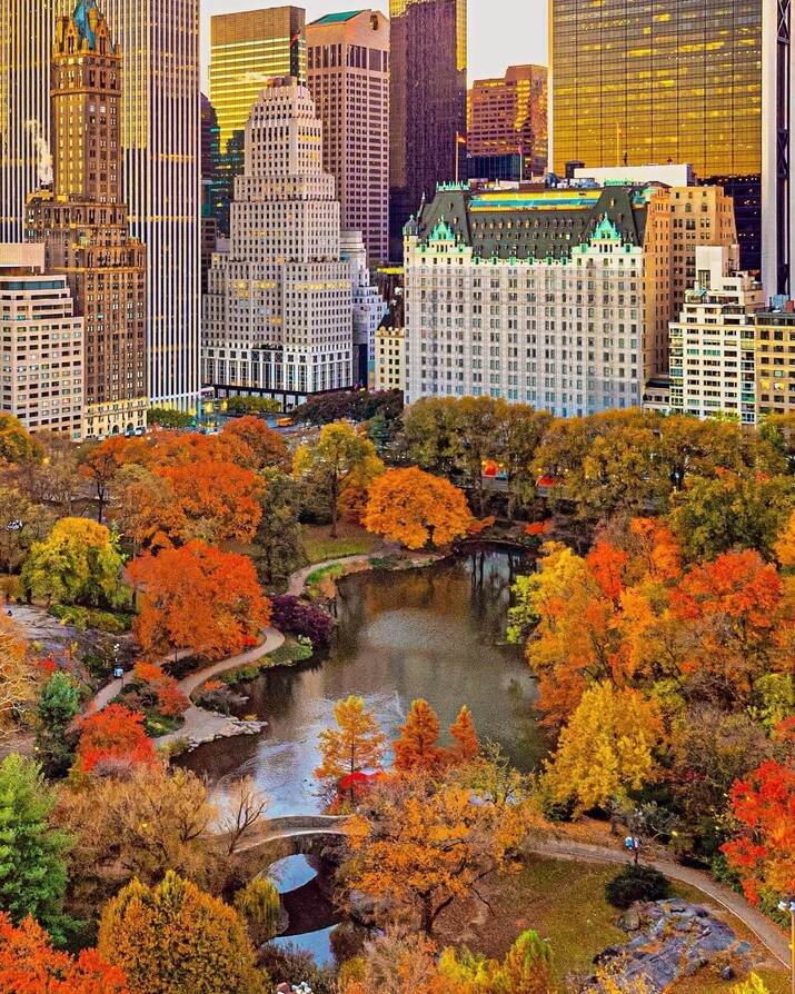 New York Fall
